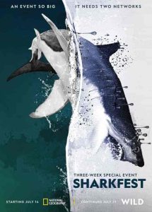 فيلم Man vs. Shark 2019