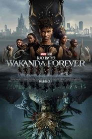 فيلم Black Panther: Wakanda Forever 2022