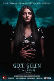فيلم Gece Gelen: Cin Bebek 2020