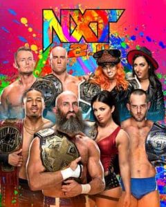 عرض WWE NXT 30.30.2022